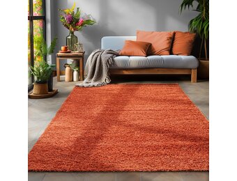 Tapijtenloods Basic Shaggy vloerkleed Terra / Oranje Hoogpolig