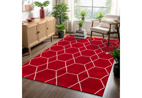 Trellis Uni Effen Laagpolig Vloerkleed Modern Rood