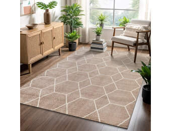 Trellis Uni Effen Laagpolig Vloerkleed Modern Beige