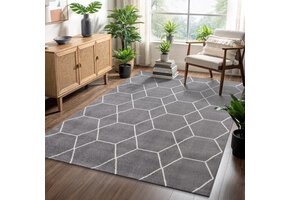 Trellis Uni Effen Laagpolig Vloerkleed Modern Grijs