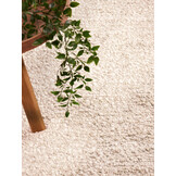 Ted Baker Notting Hill Soft Polyester Vloerkleed Creme Beige