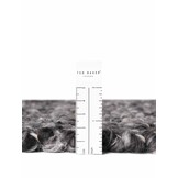 Ted Baker Notting Hill Soft Polyester Vloerkleed Grijs