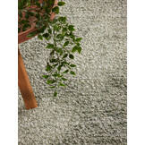 Ted Baker Notting Hill Soft Polyester Vloerkleed Groen