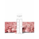 Ted Baker Notting Hill Soft Polyester Vloerkleed Roze