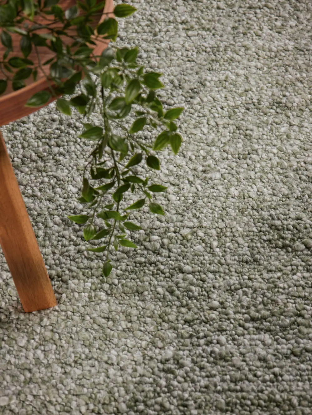 Ted Baker Notting Hill Soft Polyester Vloerkleed Groen