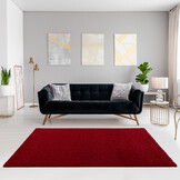 Shaggy Loca Rood 80x150CM