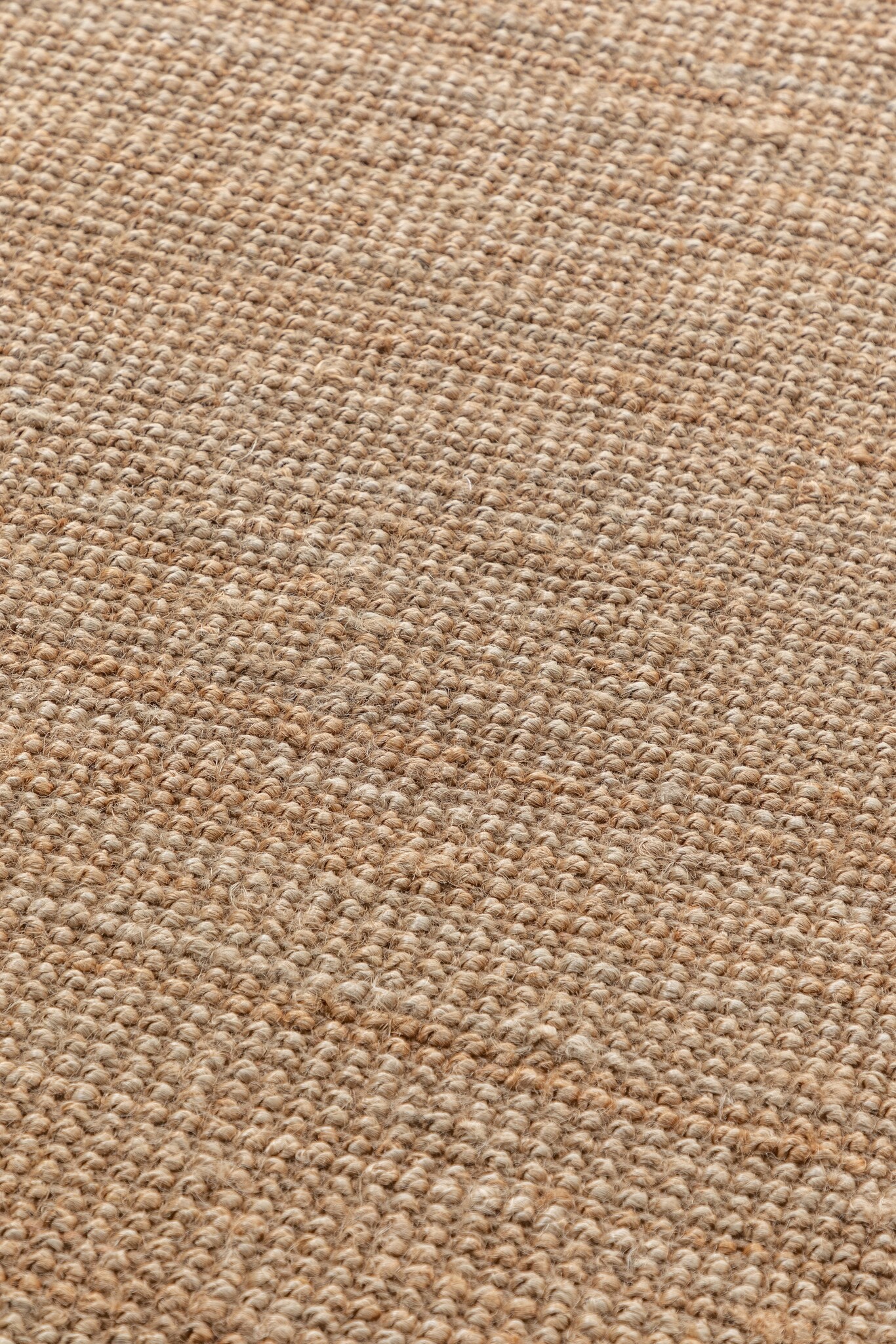 Jaipur Jute Vloerkleed Goud Beige