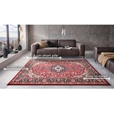 Oosters Vloerkleed Skazar Isfahan Rood