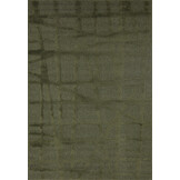 Japandi Loft Vloerkleed Groen