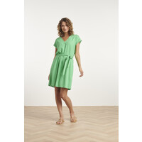 Smashed Lemon Dress Green