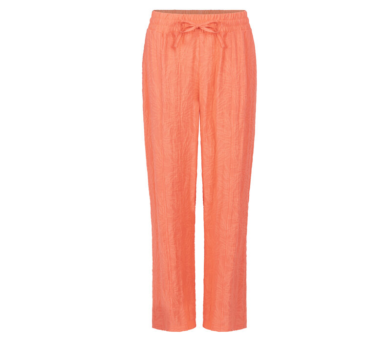 Zoso Pants Coral