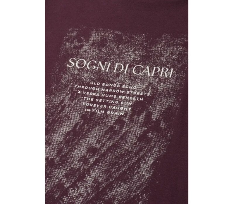 Street One Shirt with Pearl Artwork Rustic Rouge