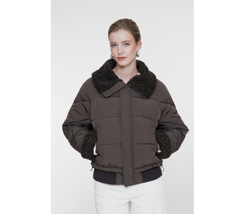 Geisha Jacket Teddy Collar Dark Brown