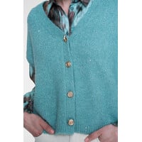 Geisha Knitted Gilet with Buttons Aqua