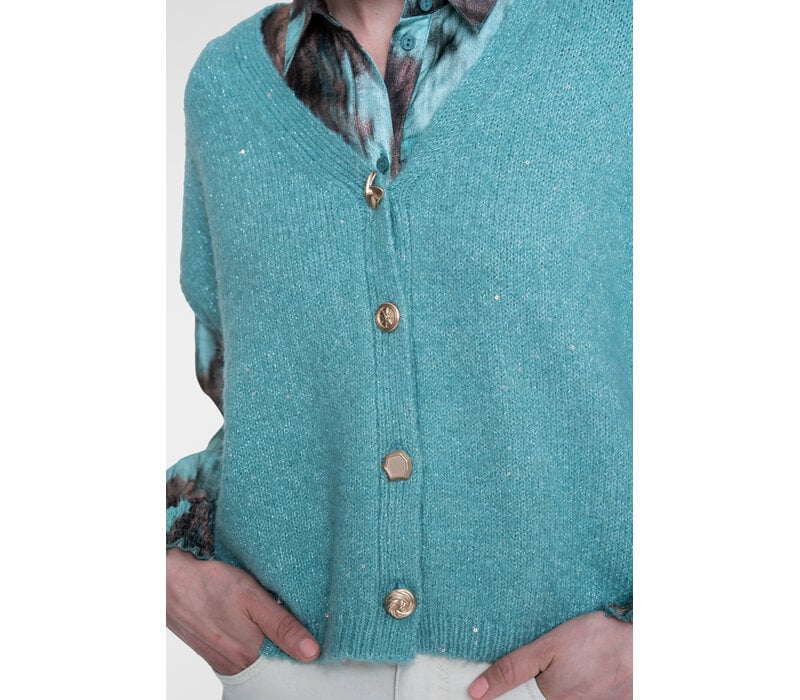 Geisha Knitted Gilet with Buttons Aqua