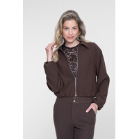 Geisha Bomber Comfy Collar Brown