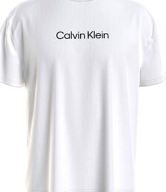 Calvin Klein Shirt Logo