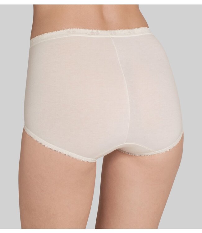 Basic+ Maxi - Chrysantheme