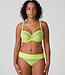 Sophora String - Lime Crush