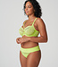 Sophora String - Lime Crush