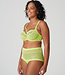 Sophora Hotpants - Lime Crush