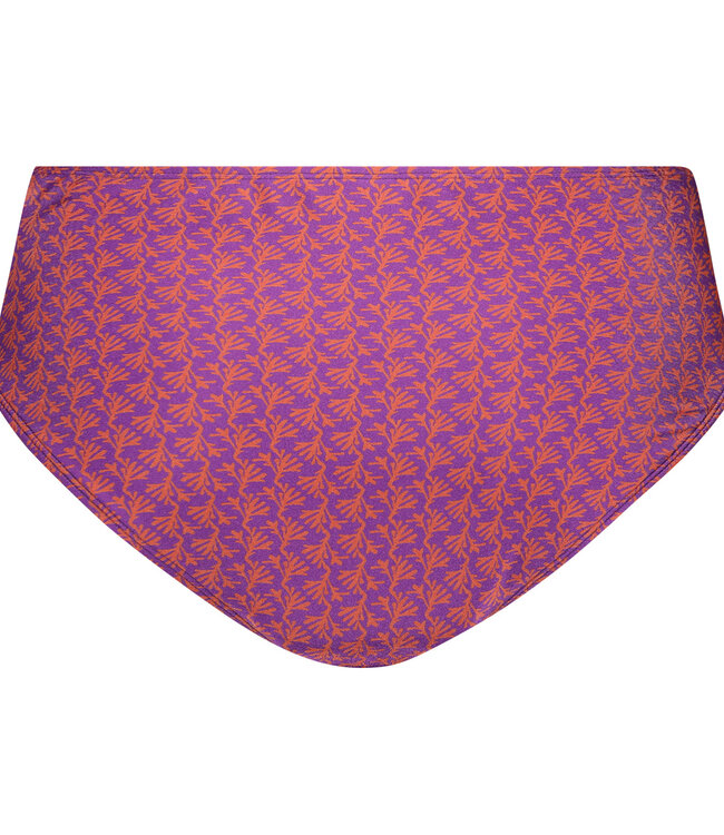 Bikini Bottom Midi - Coral