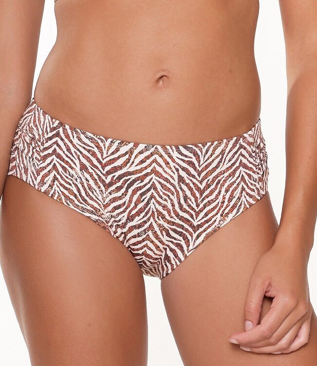 Bikini Short - Zebra Print
