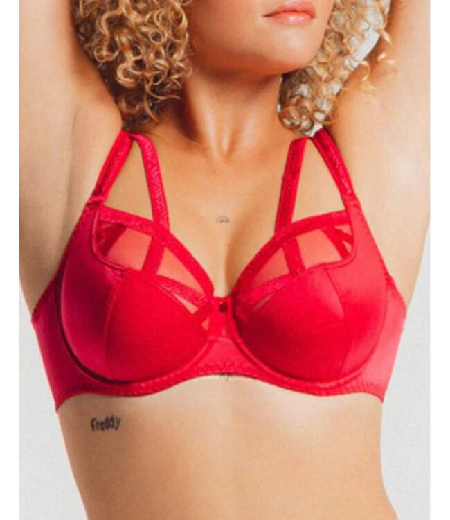 Rouge A Levre Full Cup BH - Rood