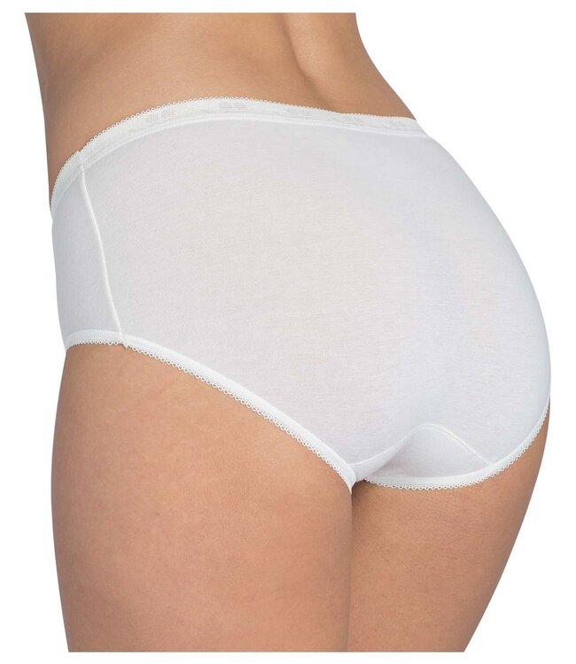 Basic+ Midi - Chrysantheme