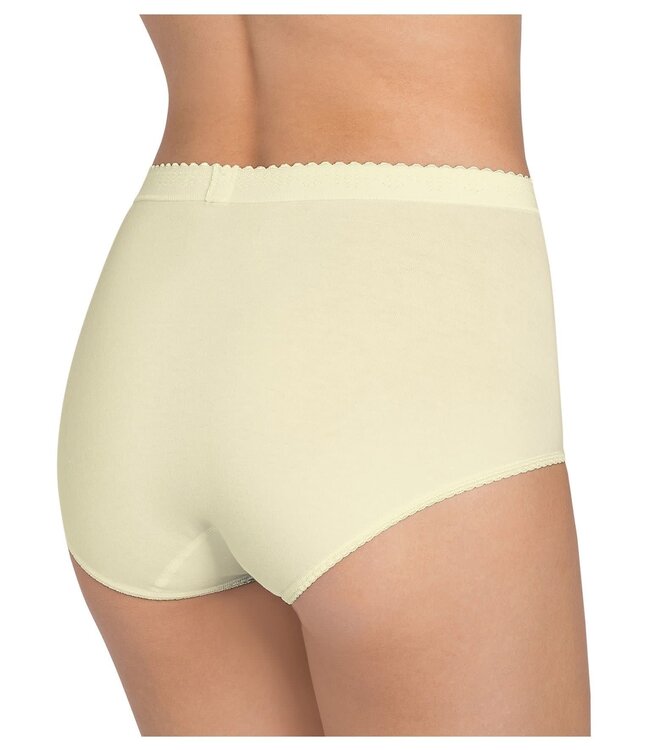 Control Maxi - Chrysantheme