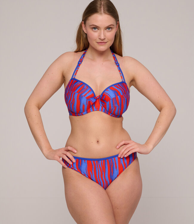 Skudai Bikini Rioslip - Wild Stripes
