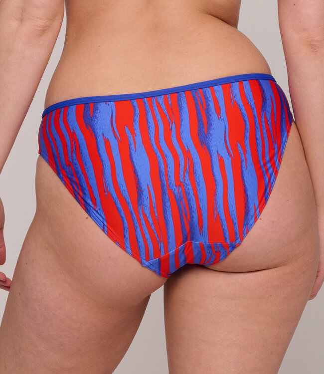 Skudai Bikini Rioslip - Wild Stripes