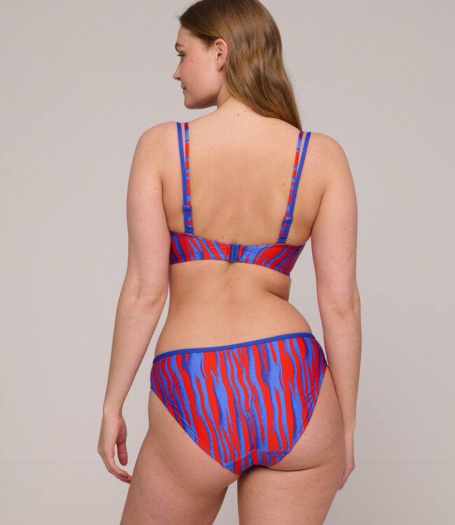 Skudai Bikini Rioslip - Wild Stripes