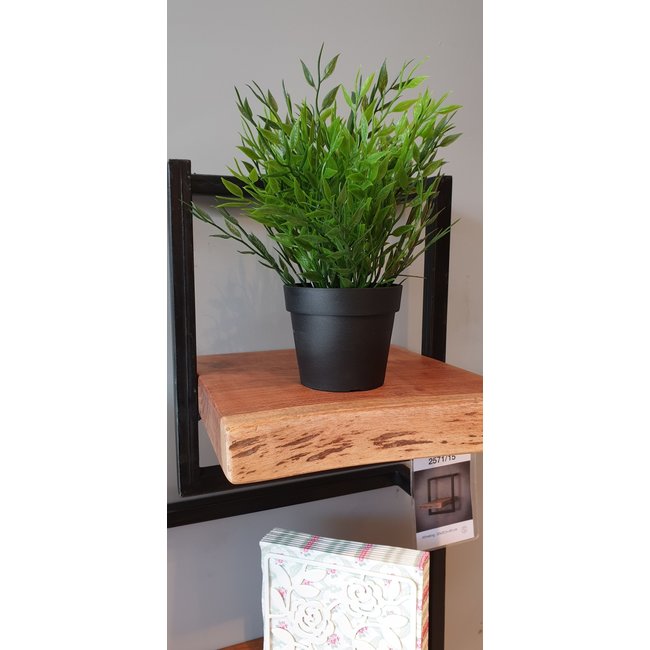 WoonStijl Wandplank Live Edge 30 cm breed