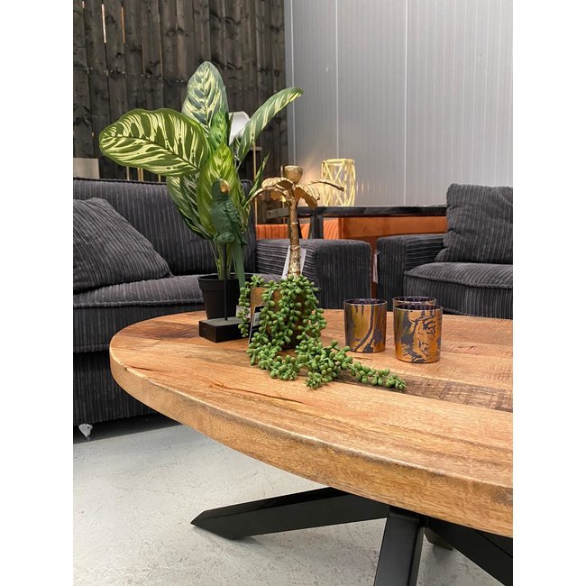 Benoa Salontafel ovaal mango matrix - 130 cm