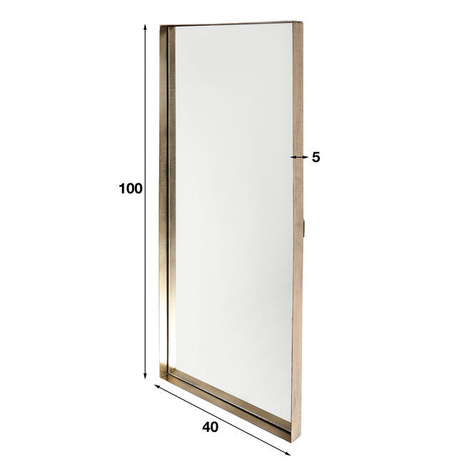 WoonStijl Spiegel 40x100 opstaande rand goudkleurig