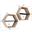 WoonStijl Wandschap Teca set van 2 hexagon Teakhout verweerd