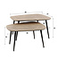 WoonStijl Salontafel set van 2 XXL metallic