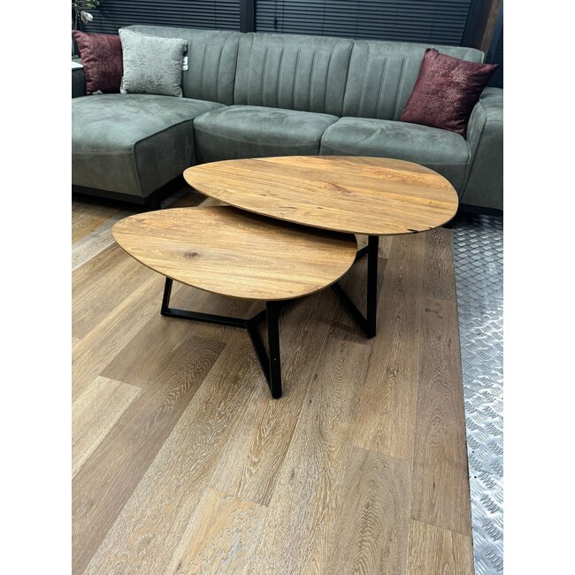 Nijwie Salontafel set van 2 Keulen organisch