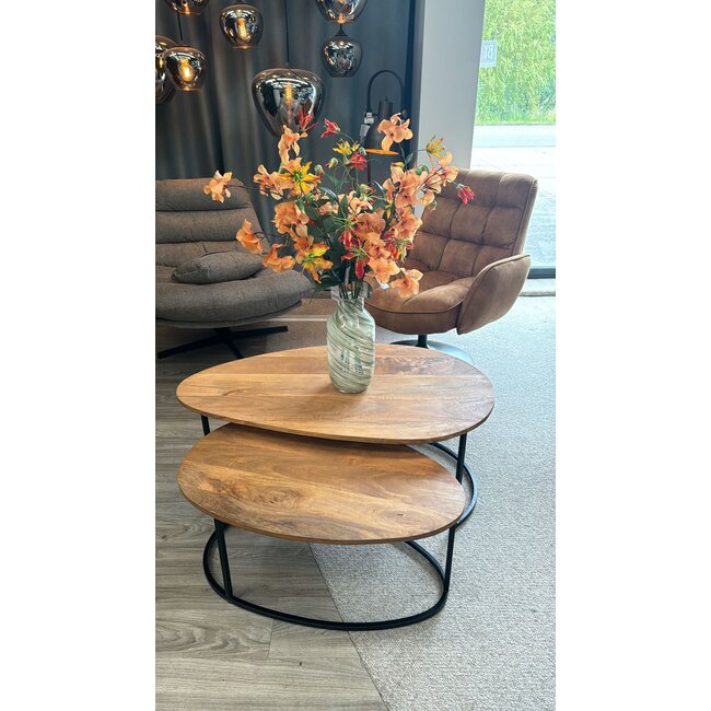 Nijwie Hannover salontafel organisch, set van 2