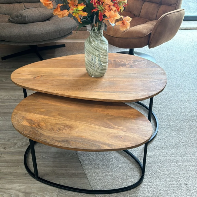 Nijwie Hannover salontafel organisch, set van 2