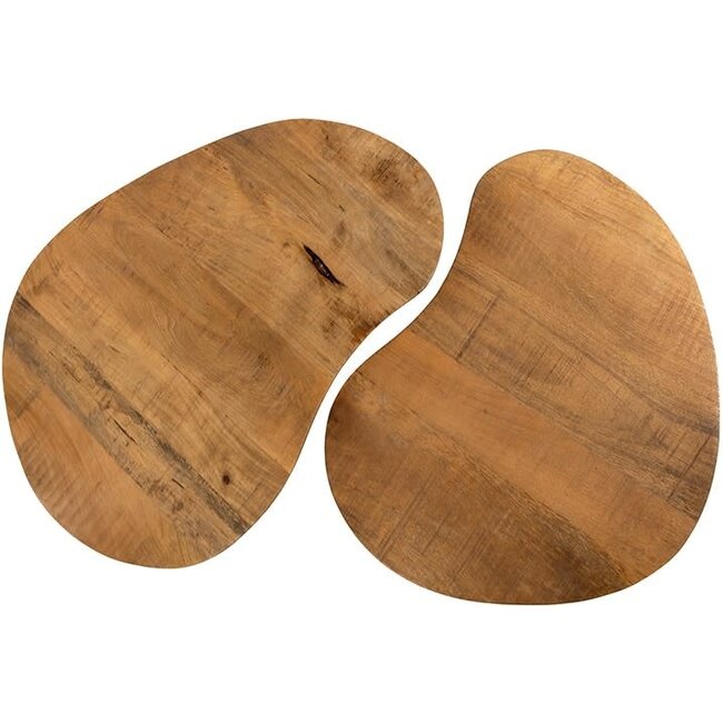 Nijwie Salontafel set van 2 Erfurt organisch