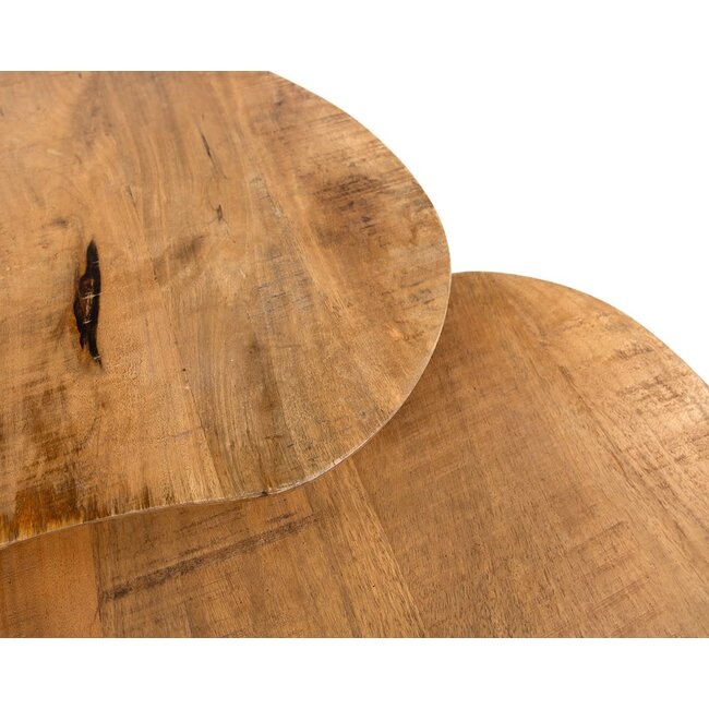 Nijwie Salontafel set van 2 Erfurt organisch