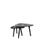 Label51 Salontafel Set Rock | Zwart Mangohout | Zwart Metaal