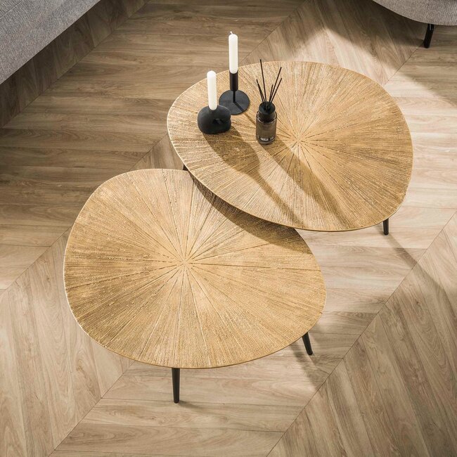 WoonStijl Salontafel set van 2 organisch ray metal