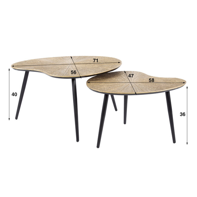 WoonStijl Salontafel set van 2 niervormig ray metal