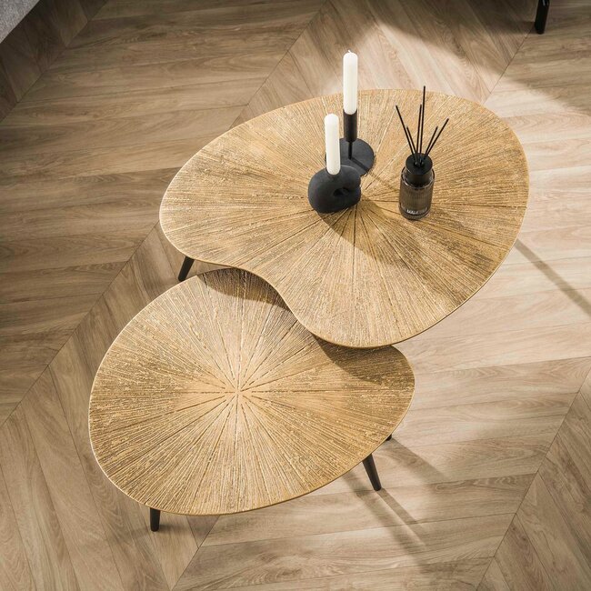WoonStijl Salontafel set van 2 niervormig ray metal