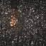 Label51 LABEL51 Hanglamp Twist - Zwart - Vlas - XL