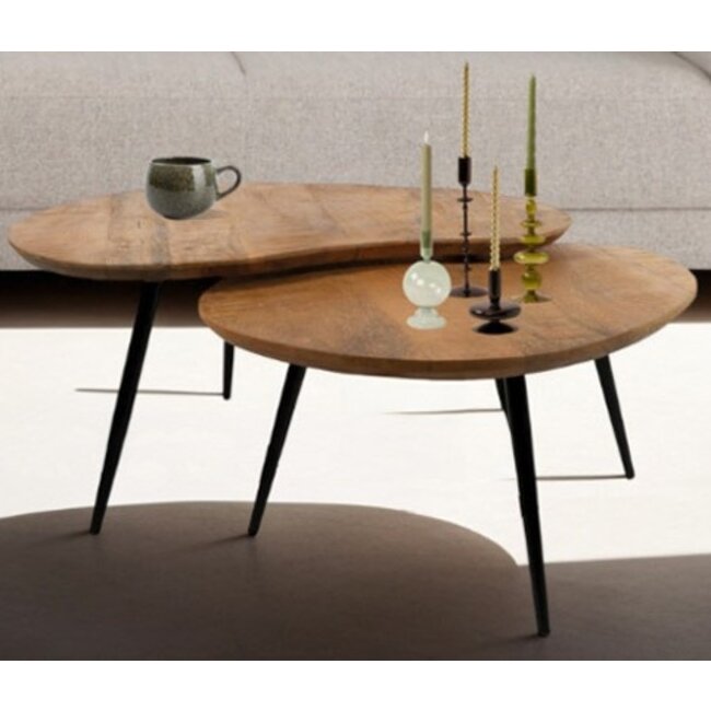 Nijwie Salontafel set van 2 Erfurt organisch