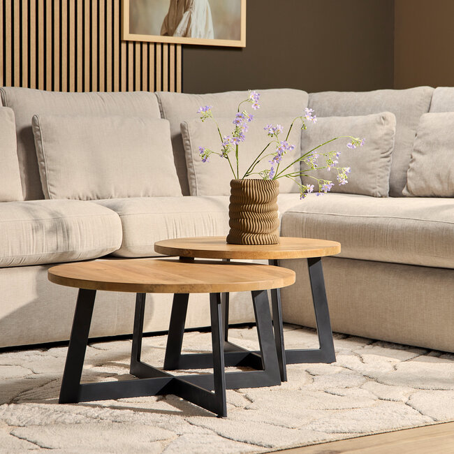 Starfurn Salontafel Austin Set van 2